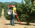 Picture of Aspiratore Cifarelli V77S