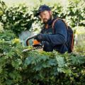 Tagliasiepi a batteria Stihl HSA 94 T