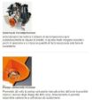 Decespugliatore Stihl FS 111 R