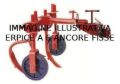 Estirpatore a 6 ancore
