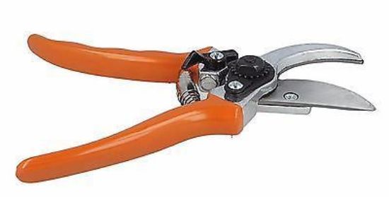 Cesoia PG 10 Stihl