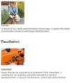 Aspirafoglie Stihl SH 56 professionale