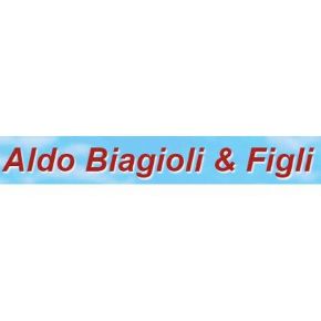 Immagine per la categoria ALDO BIAGIOLI