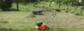 Stihl RL 540
