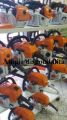 Gamma Motoseghe Stihl
