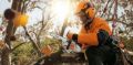 Motosega Stihl MS 194 T