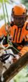 Giacca ADVANCE X -TREEm Stihl	