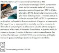 Giacca segnaletica antitaglio Protect MS Stihl