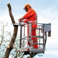 Motosega Stihl MS 201 TC-M