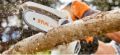 Potatore Stihl Gta 26 a batteria