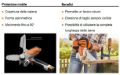 Seghetto Stihl Gta 26 a batteria
