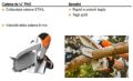 Seghetto Stihl Gta 26 a batteria