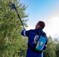 Abbacchiatore Elettrico Alice Premium 58