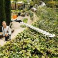 Tosasiepe hla85 Stihl