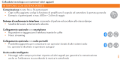 Cuffie Advance ProCOM Stihl per caschetto