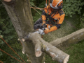 Motosega a batteria Stihl MSA 220 TC-O