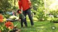 Decespugliatore Stihl giocattolo a batteria AK