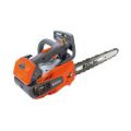 Motosega Oleomac GST 250 Carving 