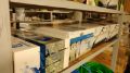 Abbacchiatore Elettrico Alice Premium 58