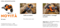 Set Casco Advance X-Vent Procom Stihl
