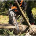 Motosega Stihl MS 291