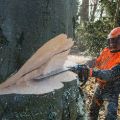 Motosega Stihl MS 661 C-M