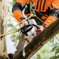 Motosega a batteria Stihl MSA 161 T senza batteria