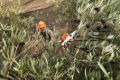 Scuotitore a batteria Stihl SPA 130