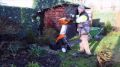 Biotrituratore Stihl GHE 355