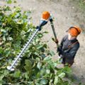 Picture of Tosasiepi allungato a batteria Stihl HLA 86