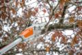 Potatore Stihl HTA 50 a batteria 