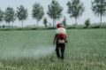 Atomizzatore Cifarelli L3EVOEU