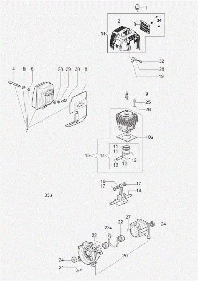Picture of Motore OM 43 BP Decespugliatore