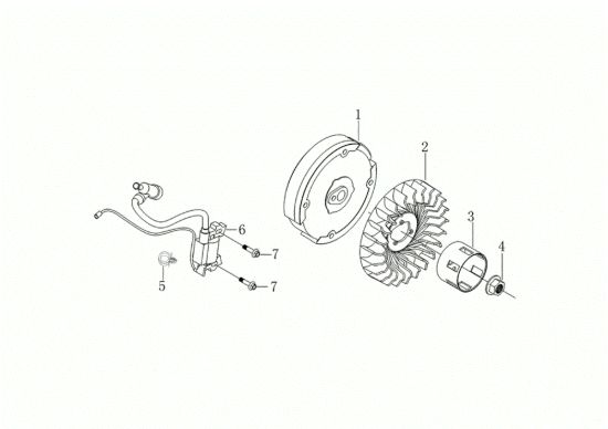 Picture of Volano e bobina WB 65 (K1100 H) Trinciasamenti