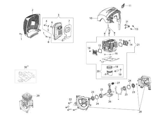 Picture of Motore BCF 550 Decespugliatore