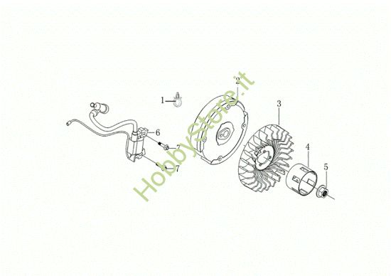 Picture of Volano e bobina MOTORE K800 H (EURO 5) Motore K800 H (EURO 5)