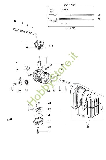 Picture of Carburatore AM 190 Atomizzatore