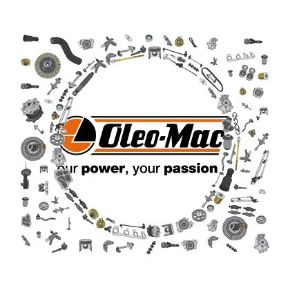 Immagine per la categoria Ricambi Oleomac