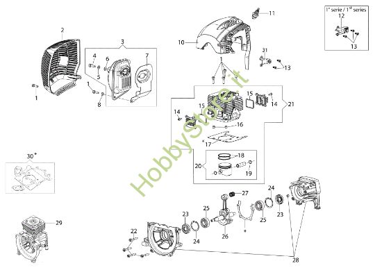 Picture of Motore DS 5300 T Decespugliatore