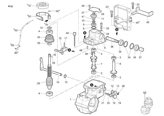 Picture of Ingranaggi (1/2) DR50 (K800H) Trinciasamenti