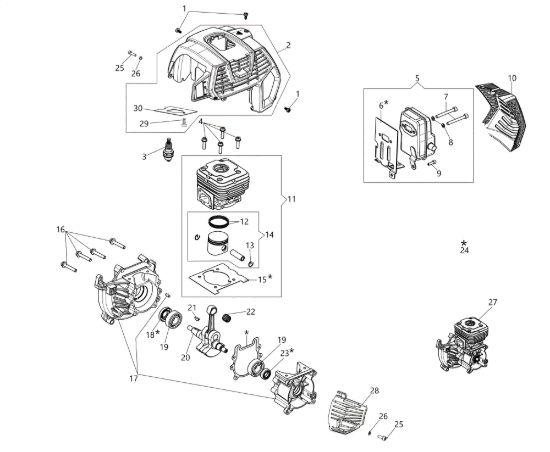 Picture of Motore DSH 5000 BP Decespugliatore
