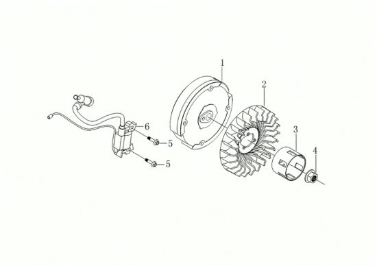 Picture of Volano e bobina MOTORE K900 H Motore