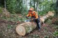 Casco Dynamic Style Stihl