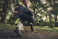 Aspiratore a Batteria Stihl SHA 140