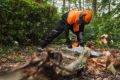 Salopette FUNCTION Core Stihl