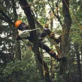 Motosega a batteria Stihl MSA 90 T