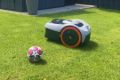 Tosaerba SegWay NaviMow i210 AWD