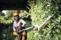 Tagliasiepi allungato a batteria Stihl HLA 140