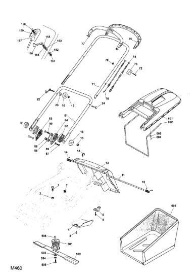 Picture of Chassis e Manico