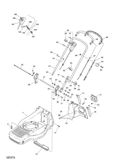 Picture of Chassis e Manico